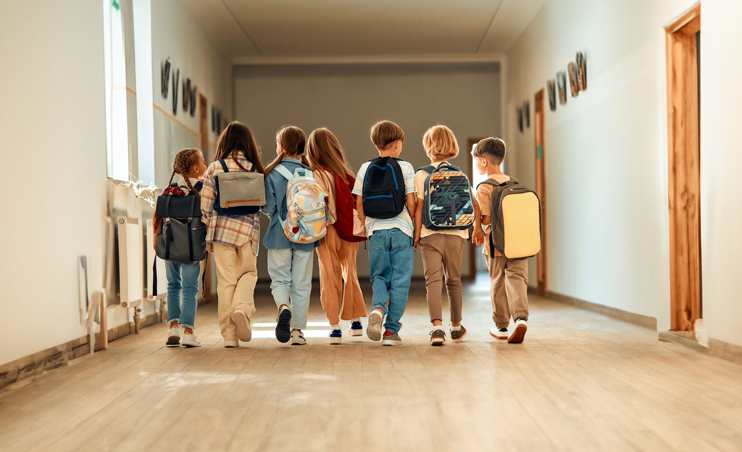 School Vaccination Programme